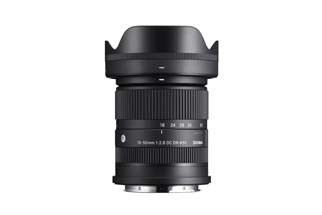 Sigma AF 18-50mm f/2.8 кроп for Sony E